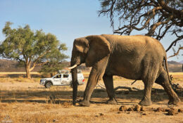 Namibia_August (58/135)